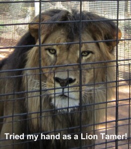 Lion