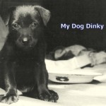 My Dog Dinky 1954.bmp