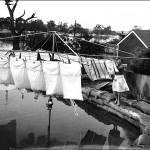 Hanging out the washing